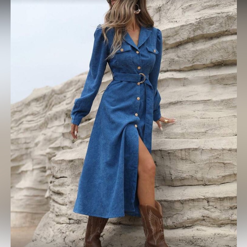 Elegant Blue Belted Button Down Corduroy Dress - Picture 7 of 8